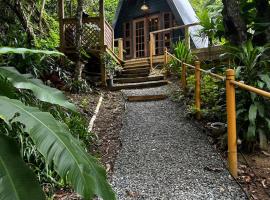 Romantic Cozy Serene A Frame Mountain Cabin, hotel en Cayey