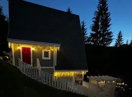 Котедж Freeman-4 триповерховий будинок для 10гостей