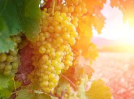 Apartamentos Gran Reserva de Haro 3000