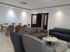 Luxury furnished apartment, available