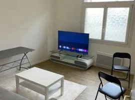 Charmant appartement Cosy Lille