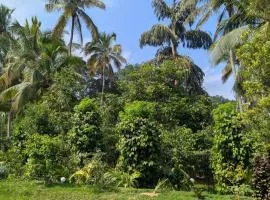 Highwalton Estate Bungalow