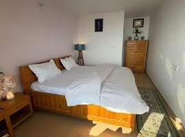 Peaceful Poses Ayurveda And Yoga Retreat