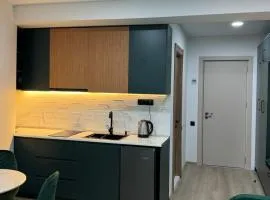 New Gudauri, near the ski lift, newly renovated