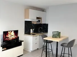 Le Saphir Nid douillet Lac et centre ville accessibles à pied