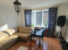 Horses Forests Lakes Shops