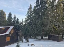 Chata Bambi, Tatranská Štrba pri zubačke