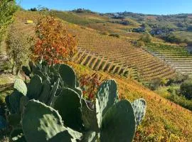 Agriturismo La Ruota