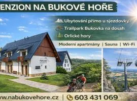 "PENZION NA BUKOVÉ HOŘE" - apartmánový dům, Horský resort Buková hora