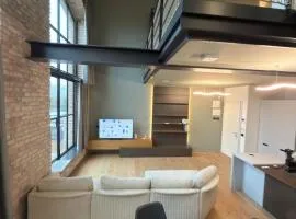 800Q Luxury Penthouse & Panoramic Terrace Venice