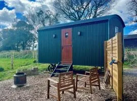 Cosy Shepherds Hut Lyme Regis, Cummins Farm