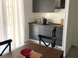 Urban Travelers Apartments