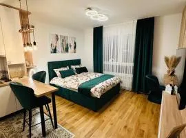 D Mol Studio apartman