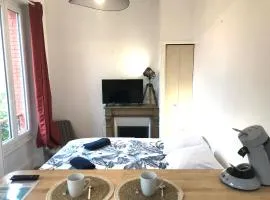 Le Castel Lily - Face aux parcs - Calme - Centre