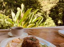 Hotel Boutique D Angelo