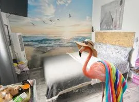 Habitacion Flamingo, entrada privada y baño privado en suite by flamingo house, no fumadores