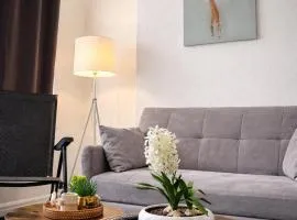 Elegant 3 BR Long Stays HS2 NEC Parking