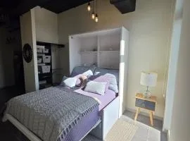 Attractive and comfortable loft apartment