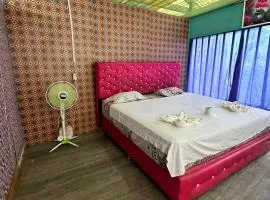 Palo Verde Lodge & wild life tours