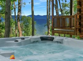 The Three Dog Night Cabin, hotel i Bryson City