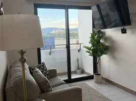 Executive apartment-urban style