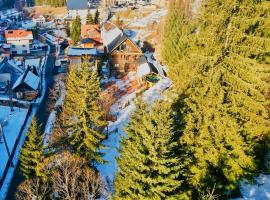 Cabana Rose House, hotell i Borşa