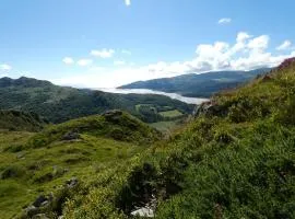 Abergwynant Farm Glamping & Apartments