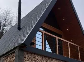 Приватна садиба Forest House