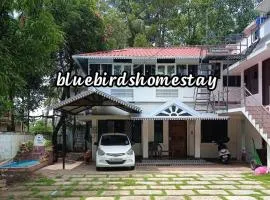 Blue Birds Homestay