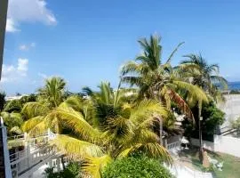 Cocoon Signature Palm Tree Garden