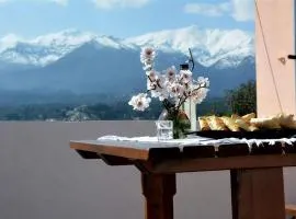 5-bedroom Country House in Crete - Olive Grove Retreat