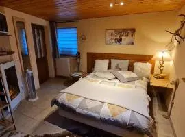 Les Chouchous du Ried 3 / Proche Europapark