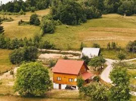 Apuseni Wood House