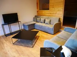 CHalet 12 personnes proche Alpe D'huez