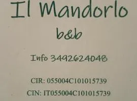 Il Mandorlo B&B