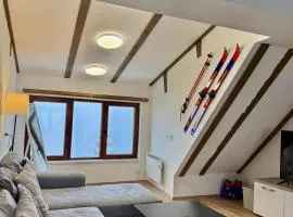 The Pine Loft by Kopaonik