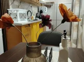 Good Mood Apartments & Parking 2