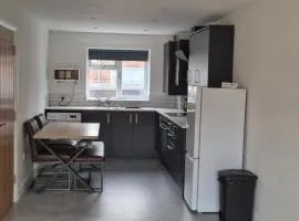 Brigg new build home