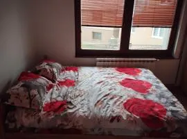 Apartmani Emir