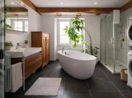 Exklusive LOFT-Wohnung, nur 30 Min von Zürich