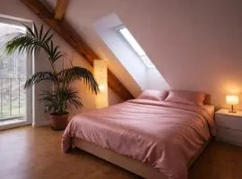 Exklusive Penthouse Wohnung, nahe zur Schweiz DA VINCI