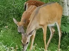 Cozy Ocean Retreat 2 Min Walk to Surf