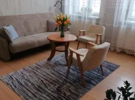 Mieszkanie w Kamienicy przy Starówce