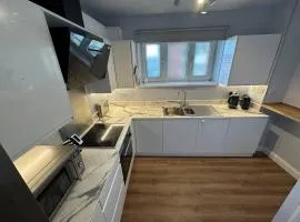 3x Large Double bedroom, Central London flat