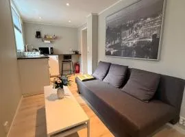 Cozy basement apartment in Orkanger