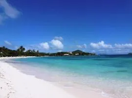 Sapphire Beach Resort and Marina - Most Stunning Views!