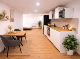 Studio Wohnung Mosella