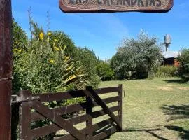 Las calandrias
