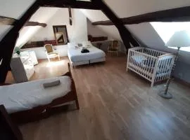 Maison avec cour et jardin