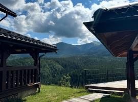 Villa Skarby, Hotel in Bystrets